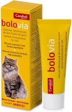 BOLO VIA PASTA 50G